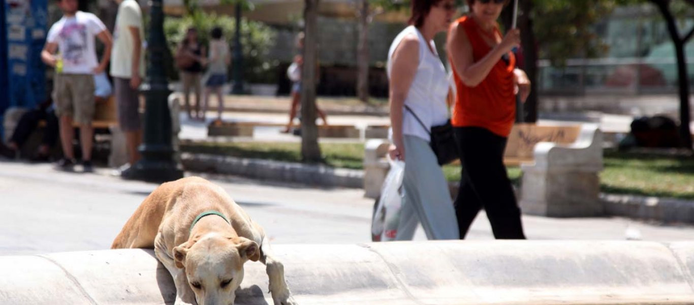 Αυξάνεται ο κίνδυνος για πυρκαγιές - Ενισχύονται οι άνεμοι από αύριο (upd)